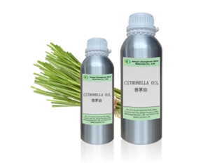 Natural Citronella Essential oil, Java citronella grass,Cymbopogon nardus CAS8000-29-1