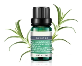 Pure & Natural Tea Tree Essential oil Care for the Skin OEM Available